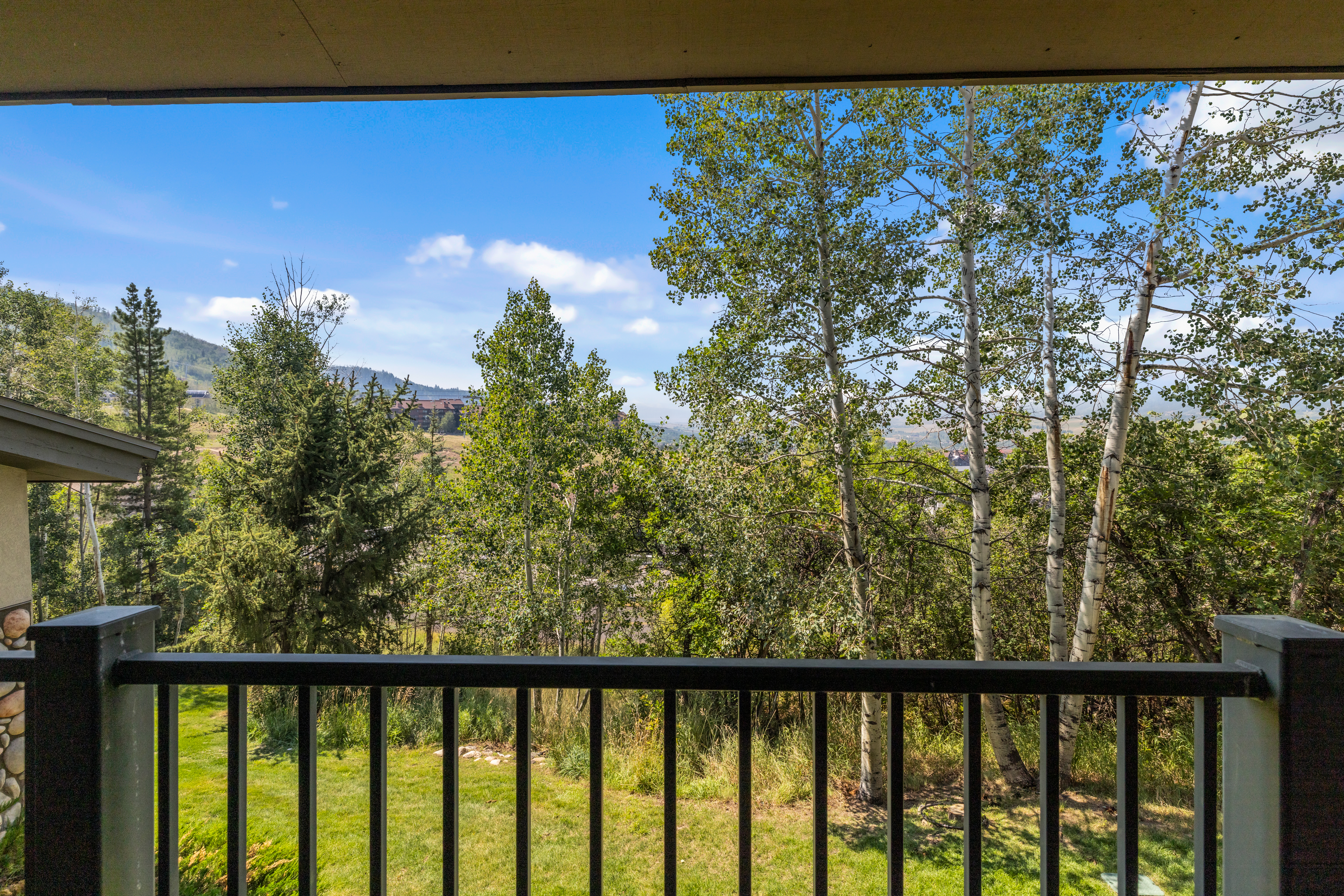  2290 Storm Meadows Drive, Steamboat Springs, CO, 80487 - 物件實景