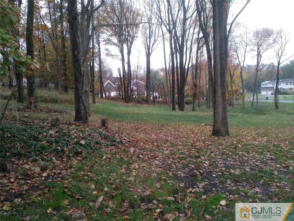 Colonia, New Jersey, 07067, United States, ,Land,For Sale,1981353