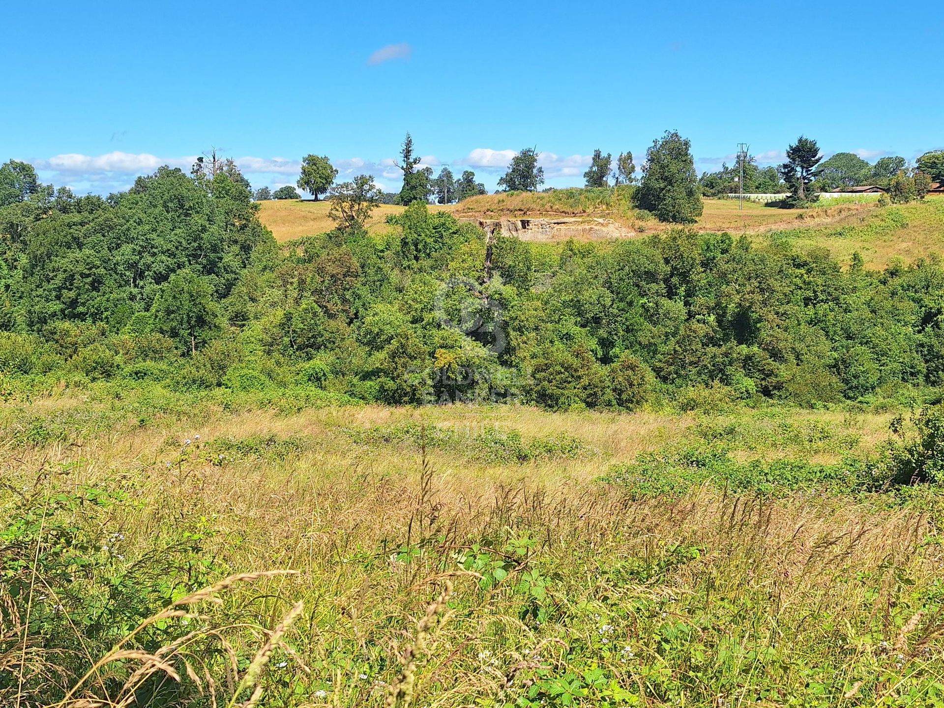 Osorno, Chile, ,Land,For Sale,1972838