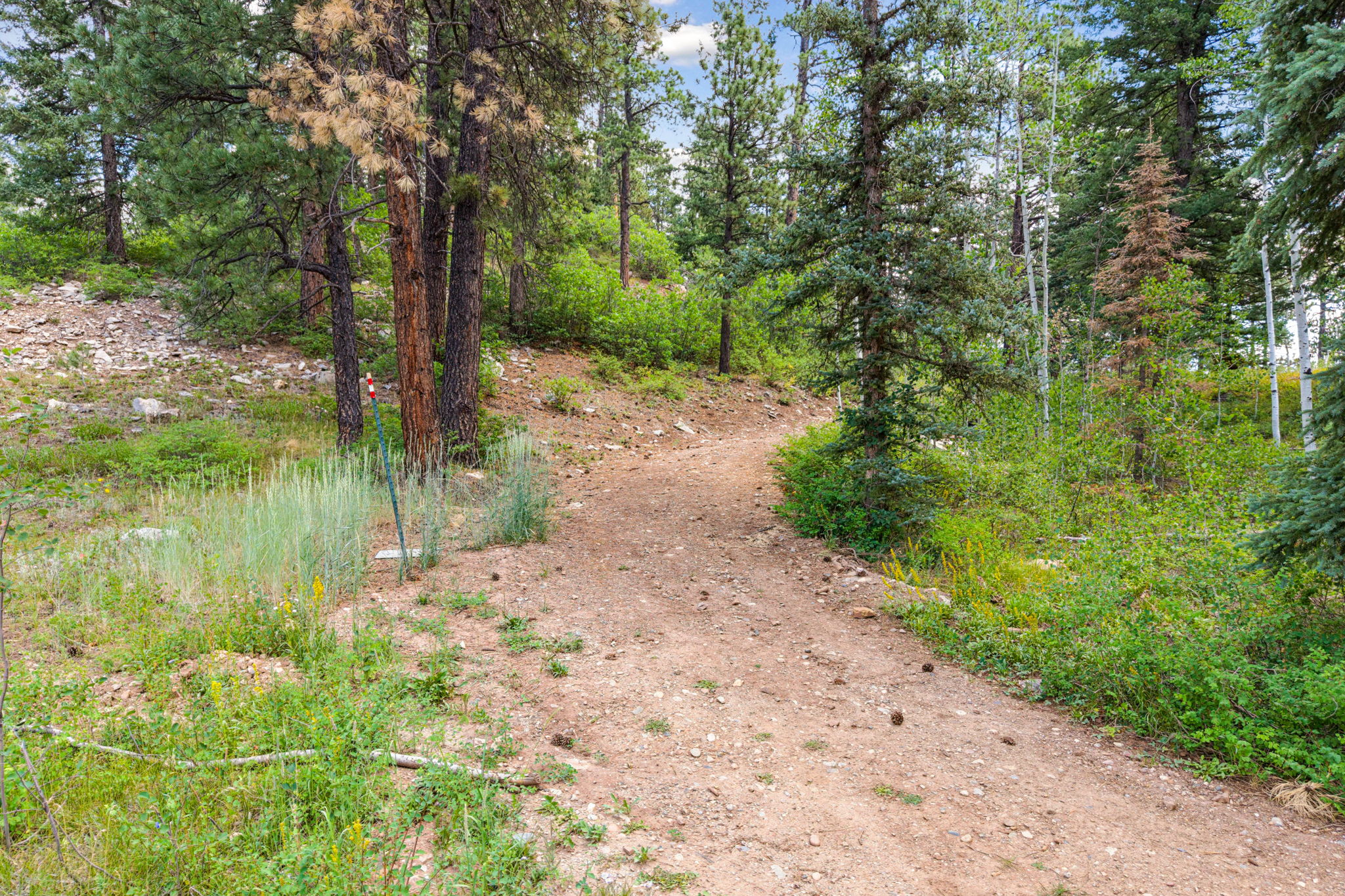  TBD East Spruce Mesa Drive, Durango, CO 81301 - 物件實景