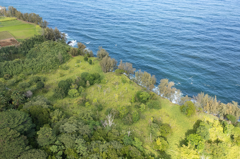 Pepeekeo, Hawaii, 96783, United States, ,Land,For Sale,1978999