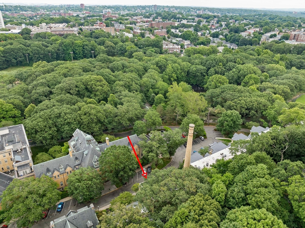 Brookline, Massachusetts, 02445, United States, 3 Bedrooms Bedrooms, ,2 BathroomsBathrooms,Residential,For Sale,1891424