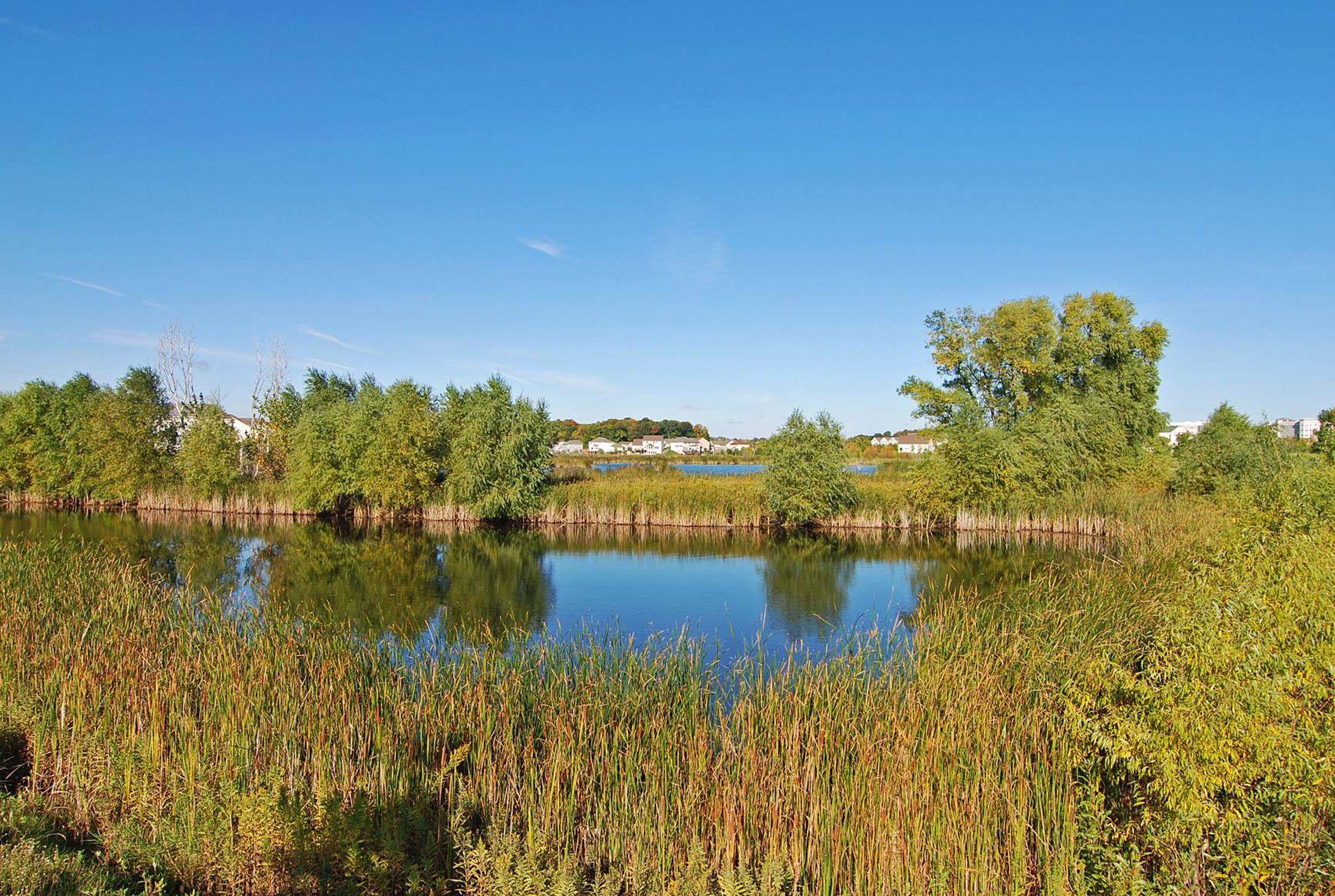 Chaska, Minnesota, 55318, United States, 4 Bedrooms Bedrooms, ,3 BathroomsBathrooms,Residential,For Sale,1947904