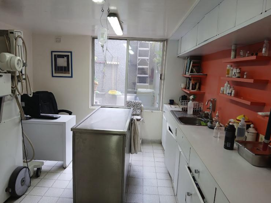 Coyoacán, Ciudad de México, 04200, Mexico, 4 Bedrooms Bedrooms, ,2 BathroomsBathrooms,Residential,For Sale,1916889