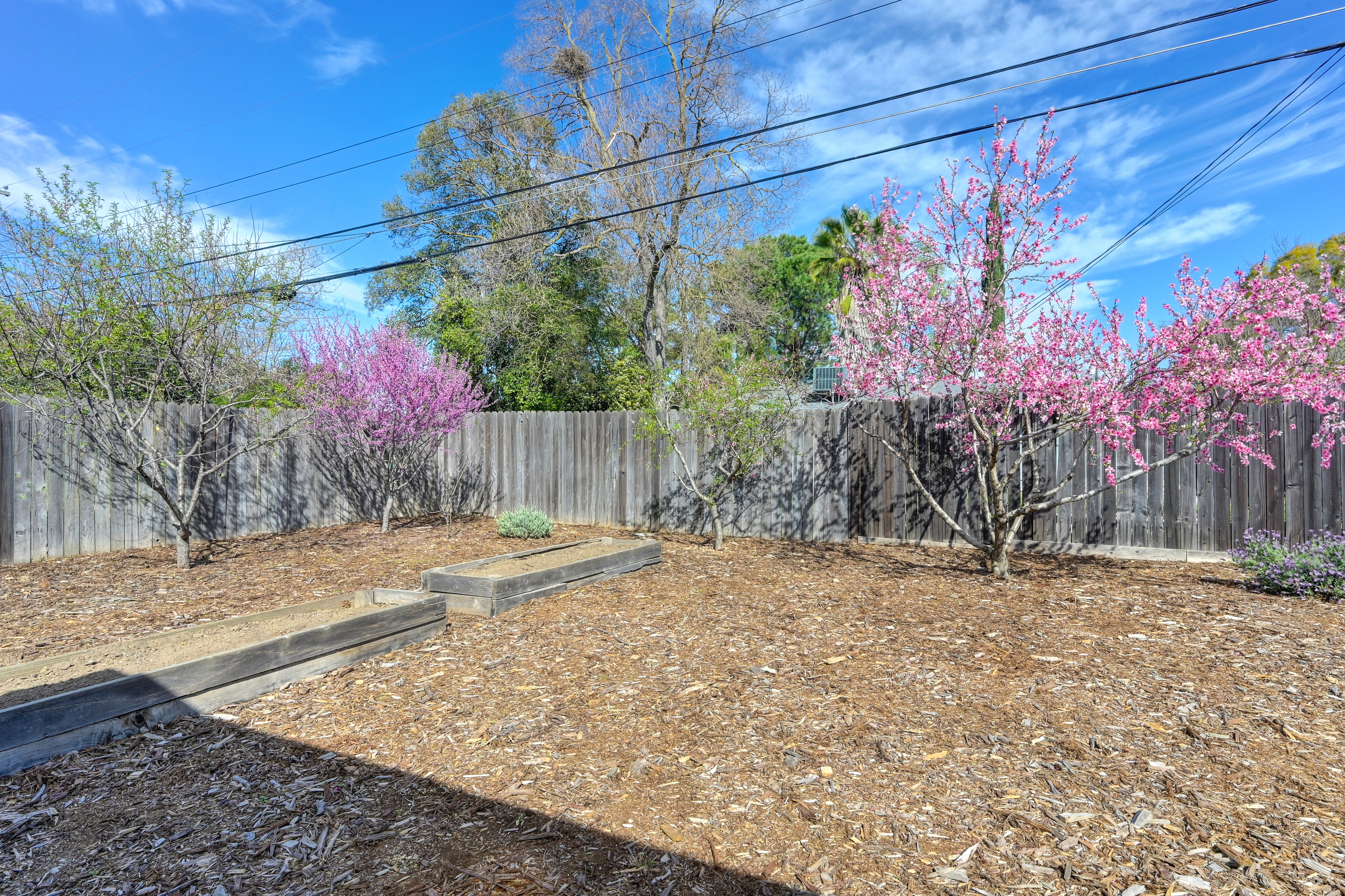  3125 Windsor Drive, Sacramento, CA 95864 - 物件實景