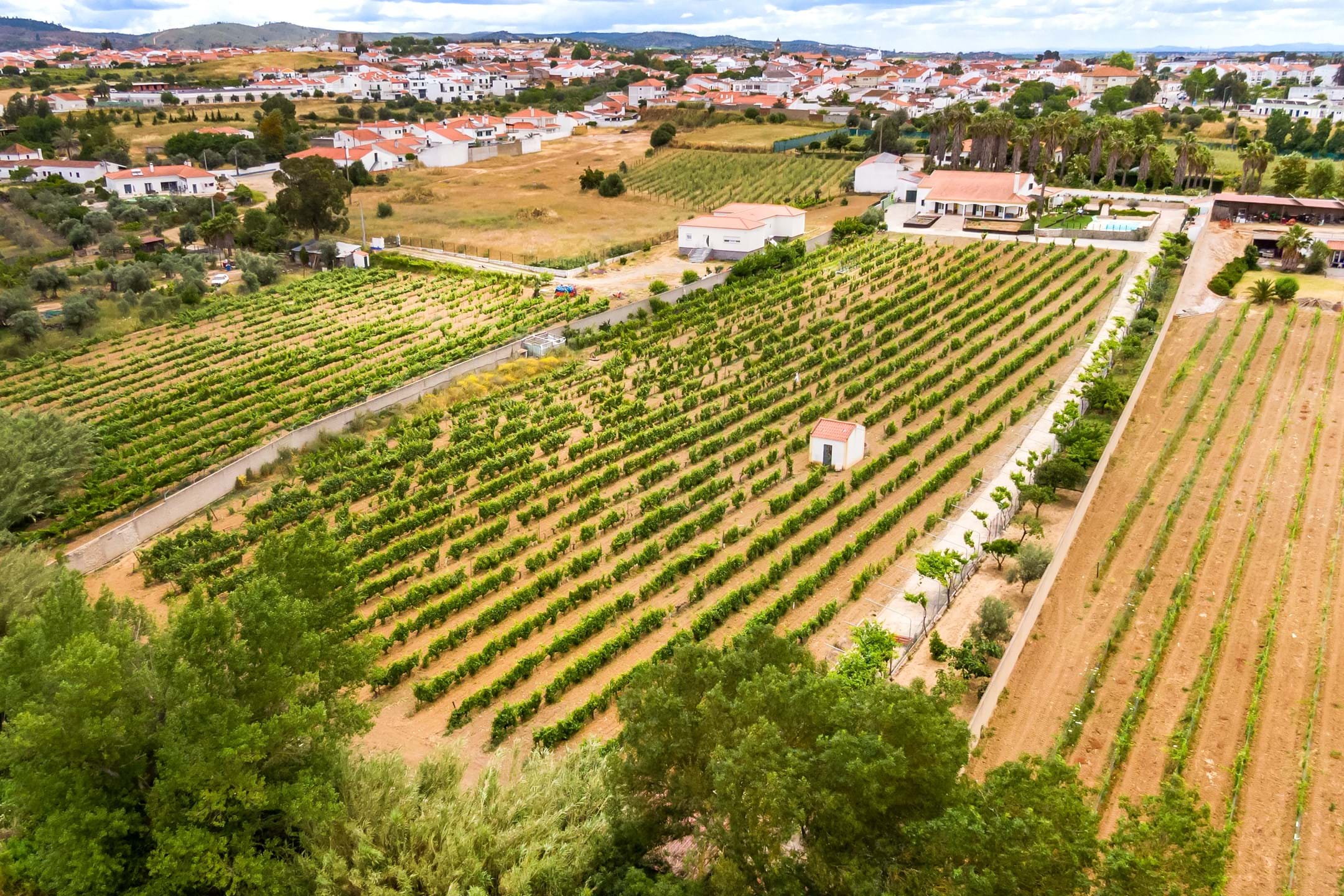 Vidigueira, Beja, 7960-313, PT, 5 Bedrooms Bedrooms, ,4 BathroomsBathrooms,Residential,For Sale,1699252