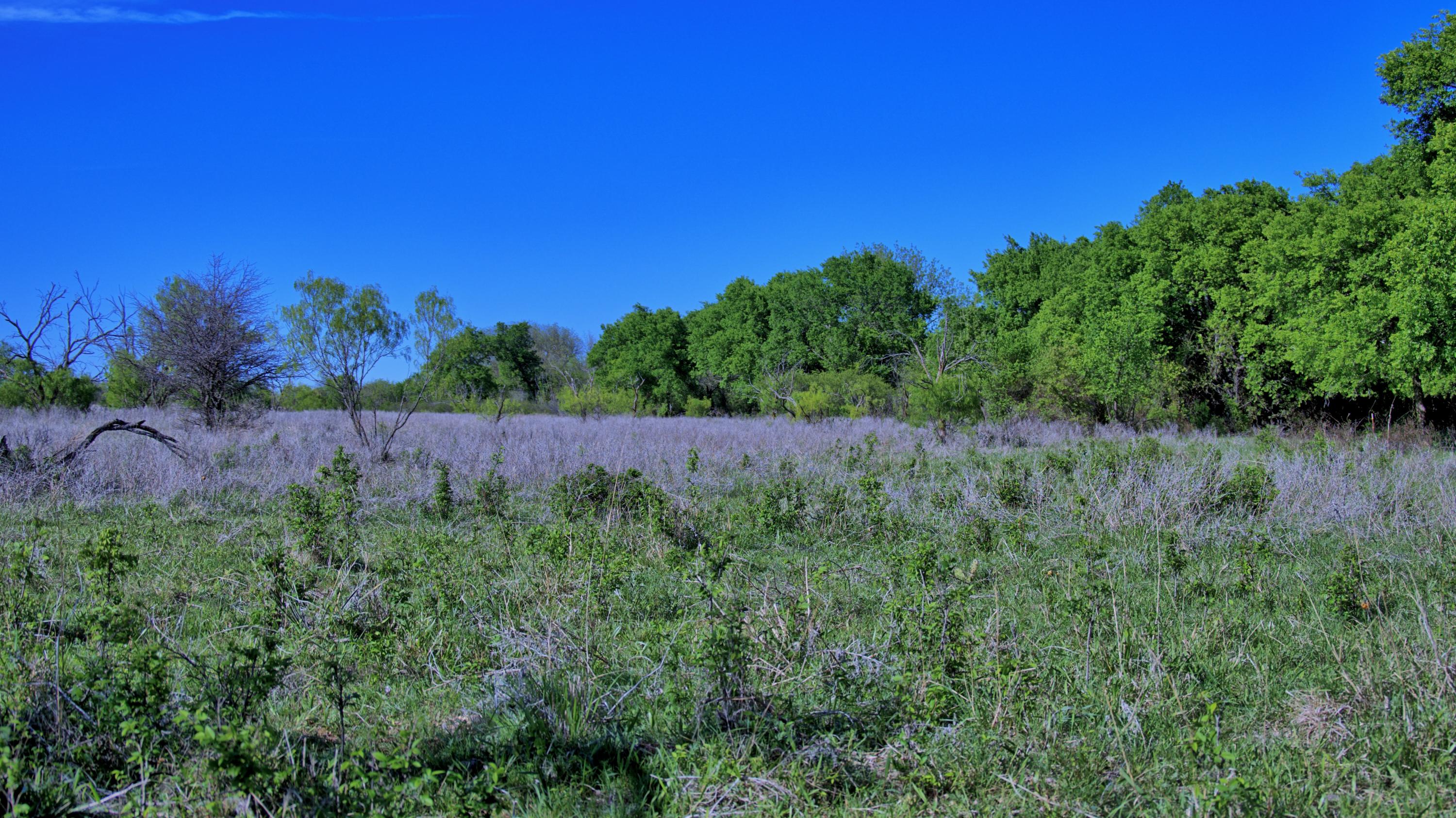  180 +/- Acre Multi-use North Texas Ranch - 物件實景