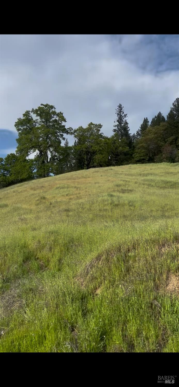 Covelo, California, 95428, United States, ,Land,For Sale,1868572