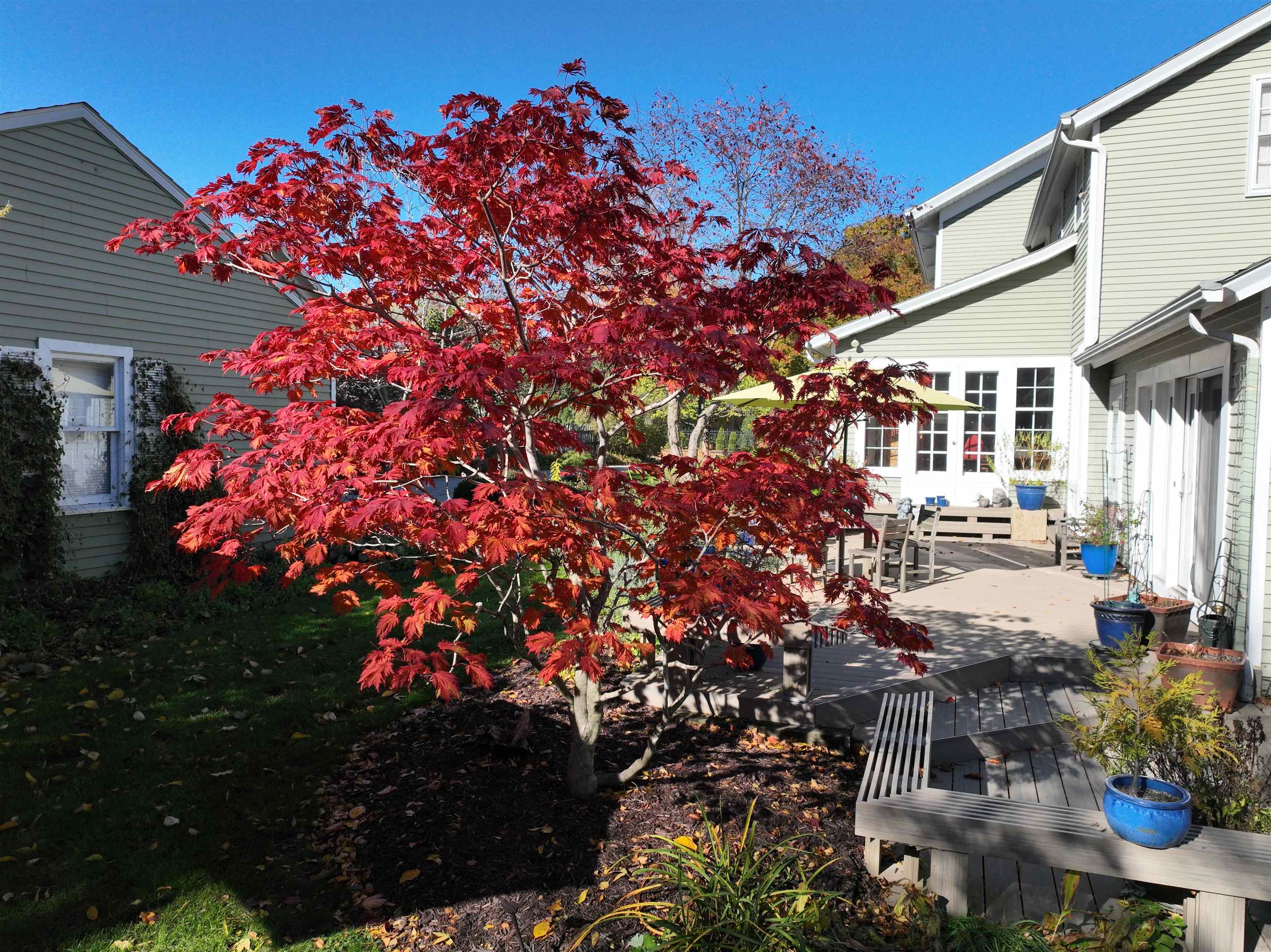 Janesville, Wisconsin, 53545, United States, 4 Bedrooms Bedrooms, ,3 BathroomsBathrooms,Residential,For Sale,2006232