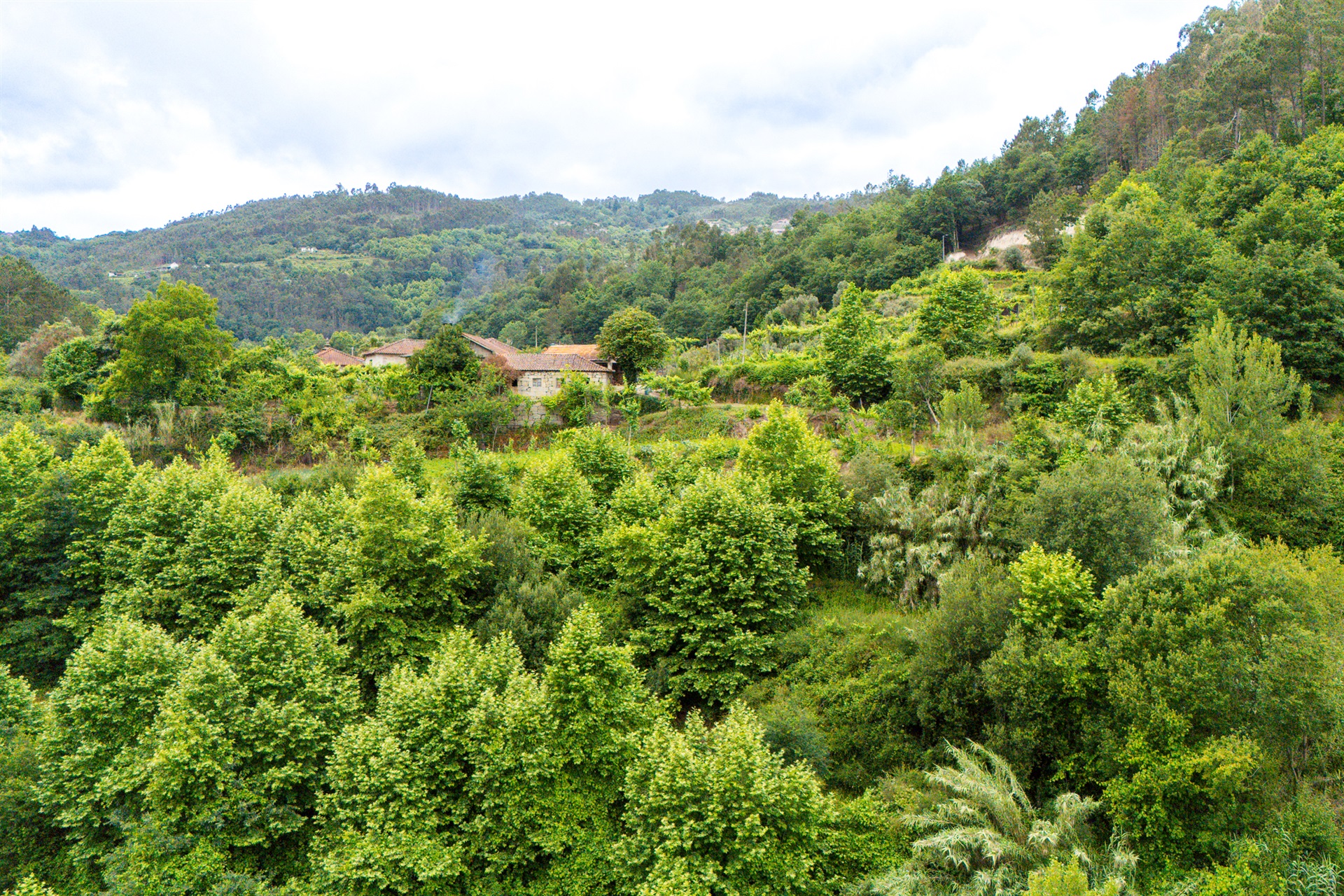  Farm, 3 bedrooms, for Sale - 物件實景