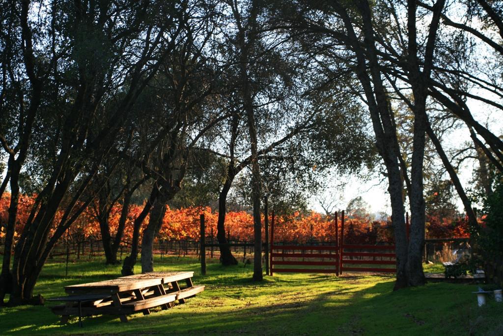 O Neals, California, 93645, United States, 3 Bedrooms Bedrooms, ,2 BathroomsBathrooms,Residential,For Sale,1981771