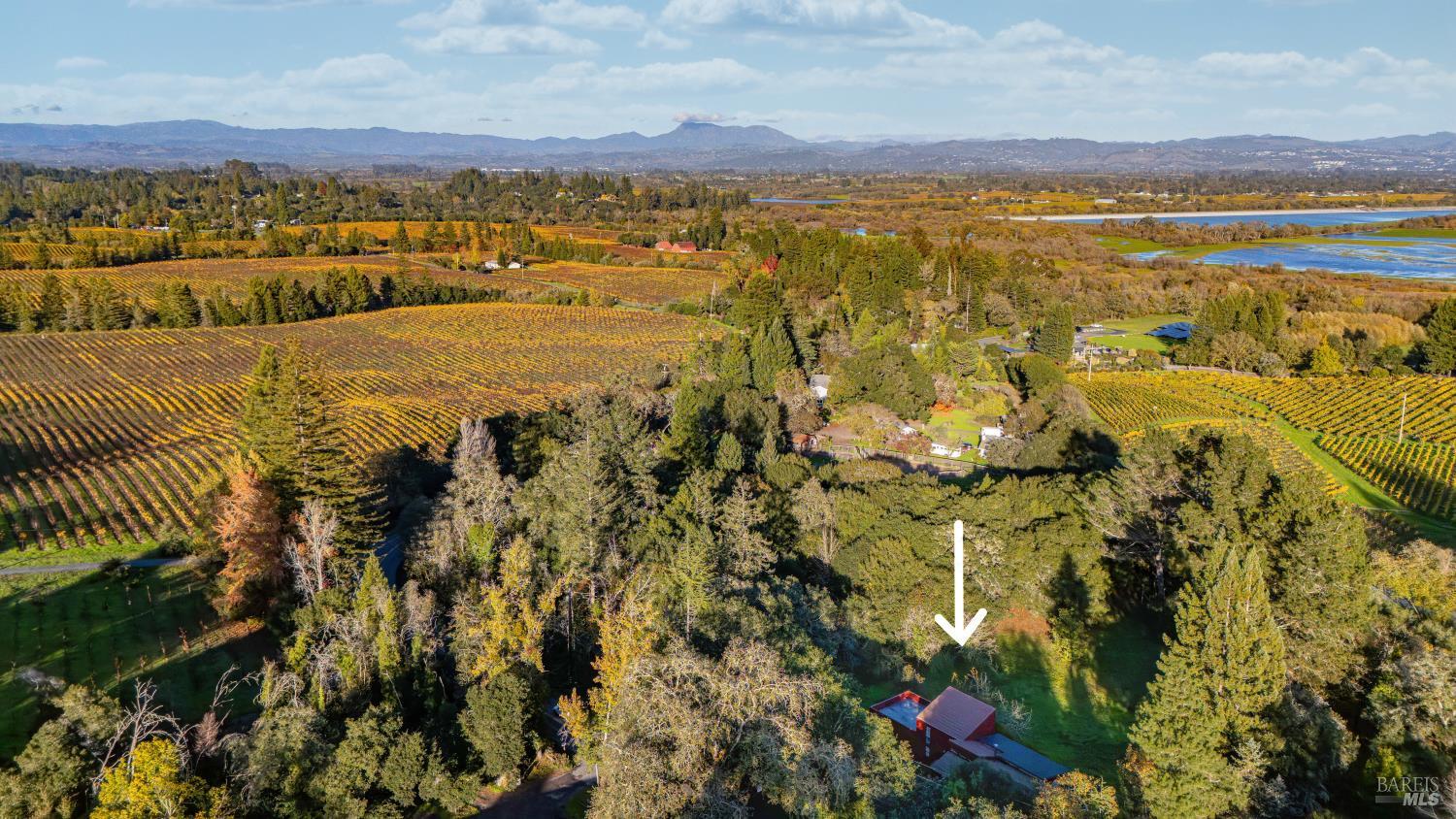 Sebastopol, California, 95472, United States, 3 Bedrooms Bedrooms, ,2 BathroomsBathrooms,Residential,For Sale,1997053