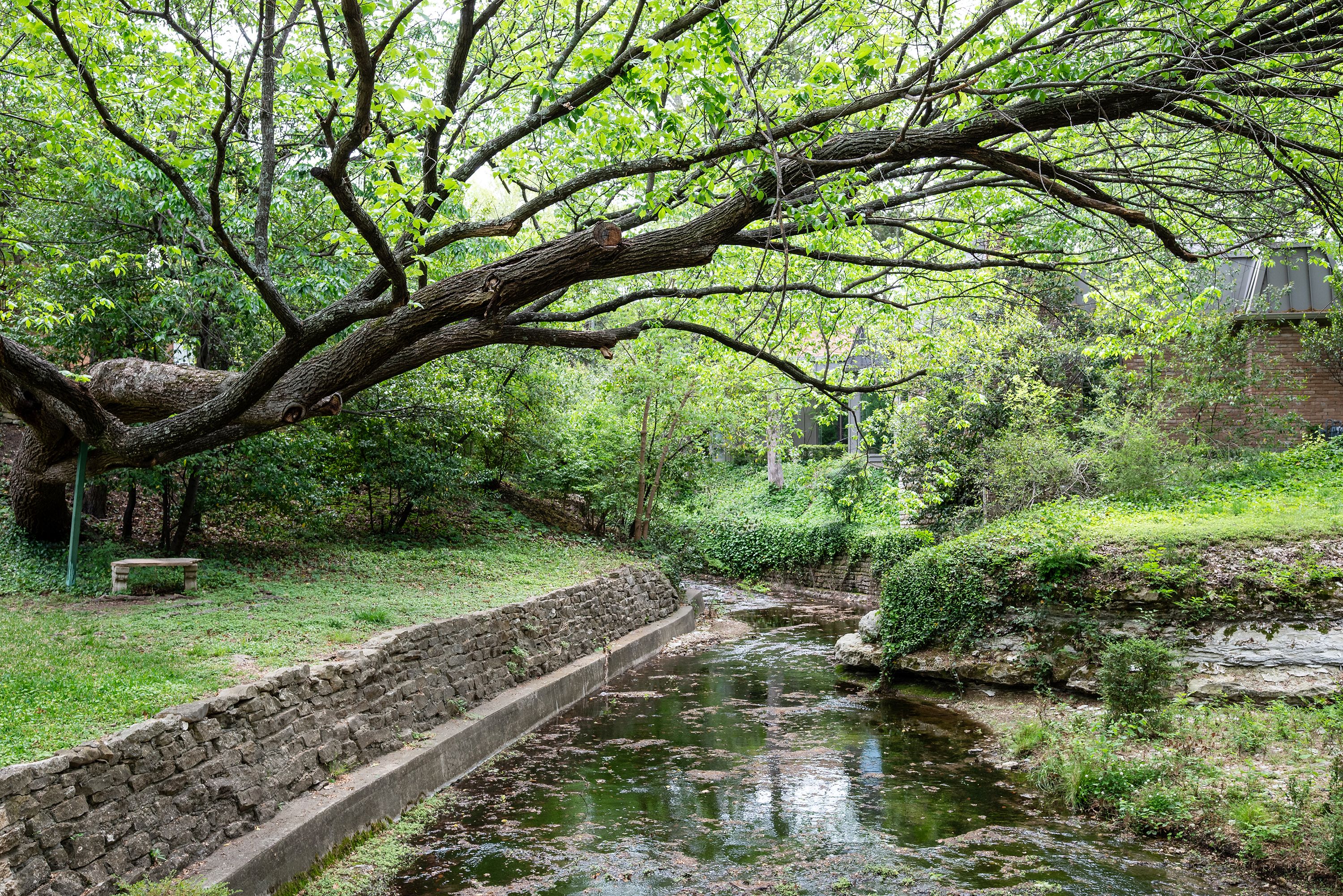  5826 Farquhar Lane - 物件實景