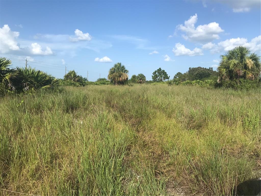 Punta Gorda, Florida, 33982, United States, ,Land,For Sale,1806148