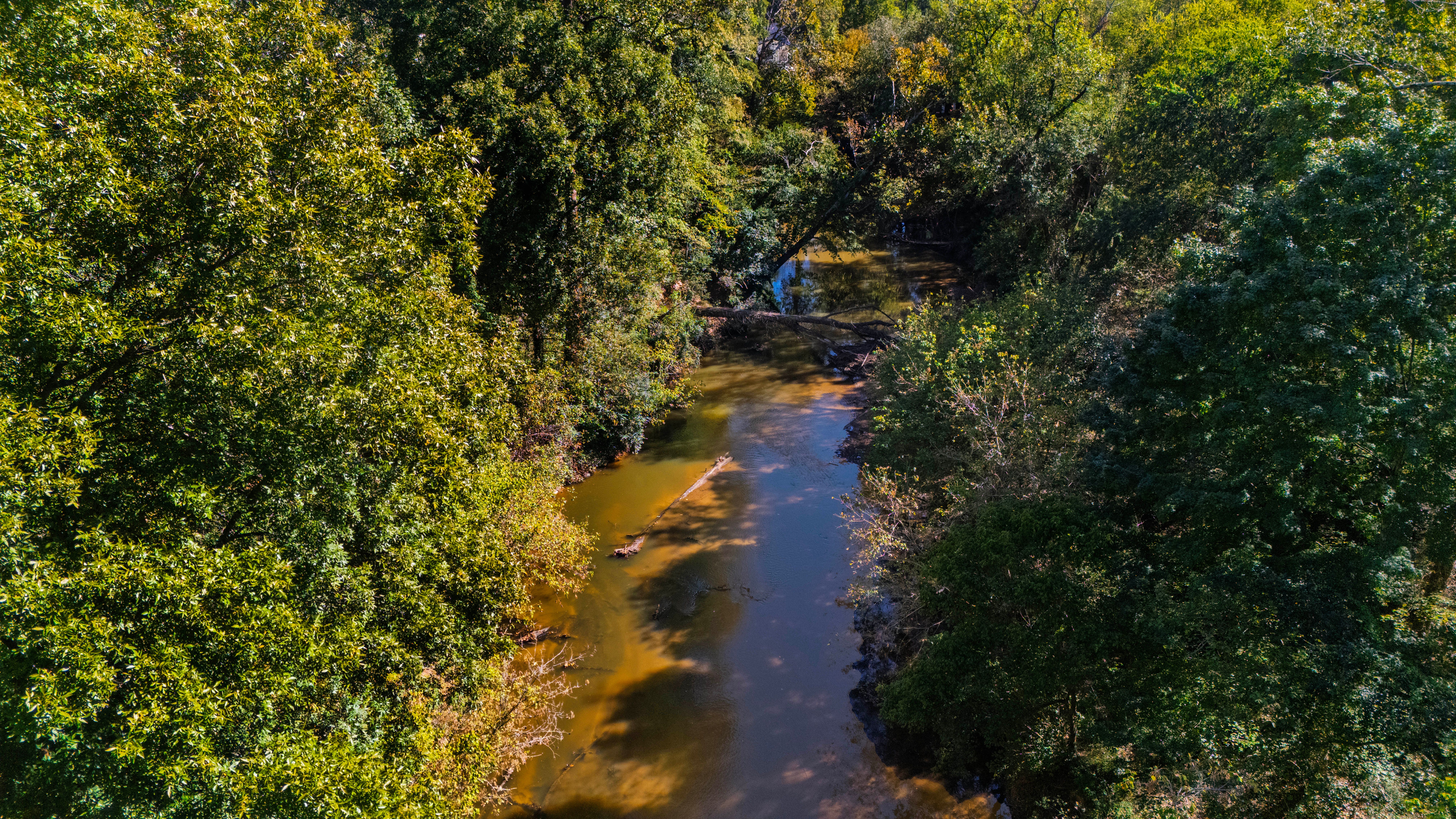  2845 Claremont Road, Raleigh, NC 27608 - 物件實景