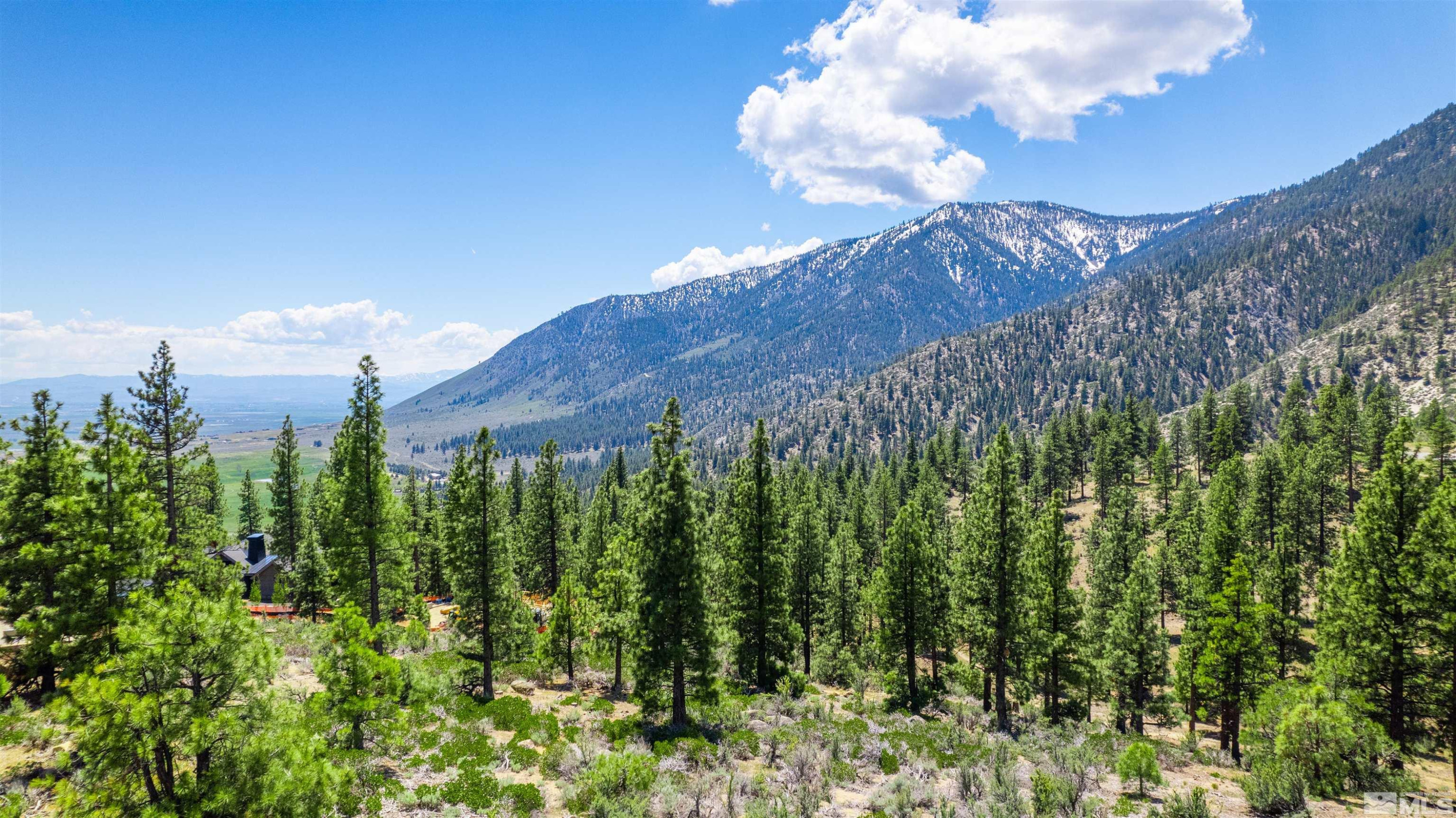 Carson City, Nevada, 89705, United States, ,Land,For Sale,1828130
