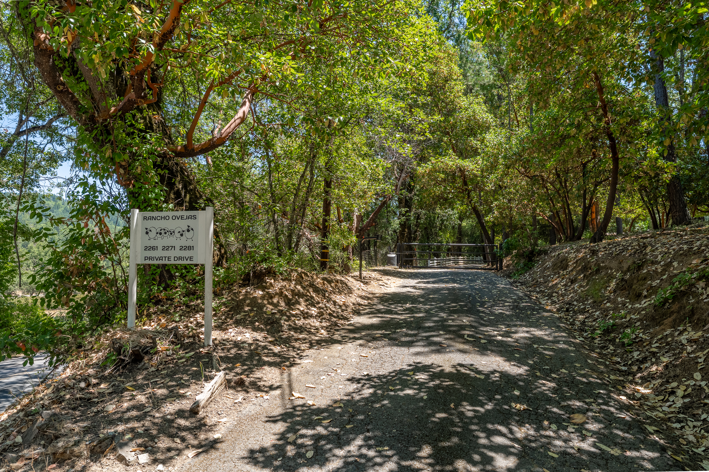 Willits, California, 95490, United States, 3 Bedrooms Bedrooms, ,2 BathroomsBathrooms,Residential,For Sale,1883434