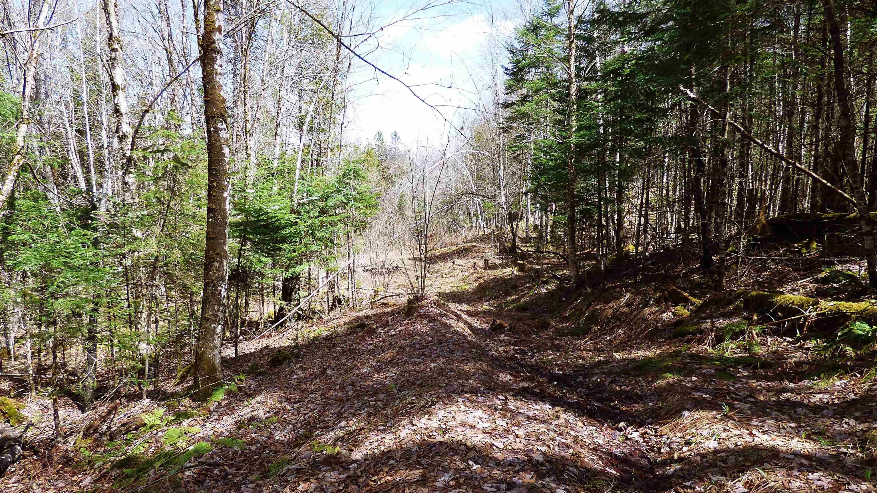 Wheelock, Vermont, 05851, United States, ,Land,For Sale,2017669