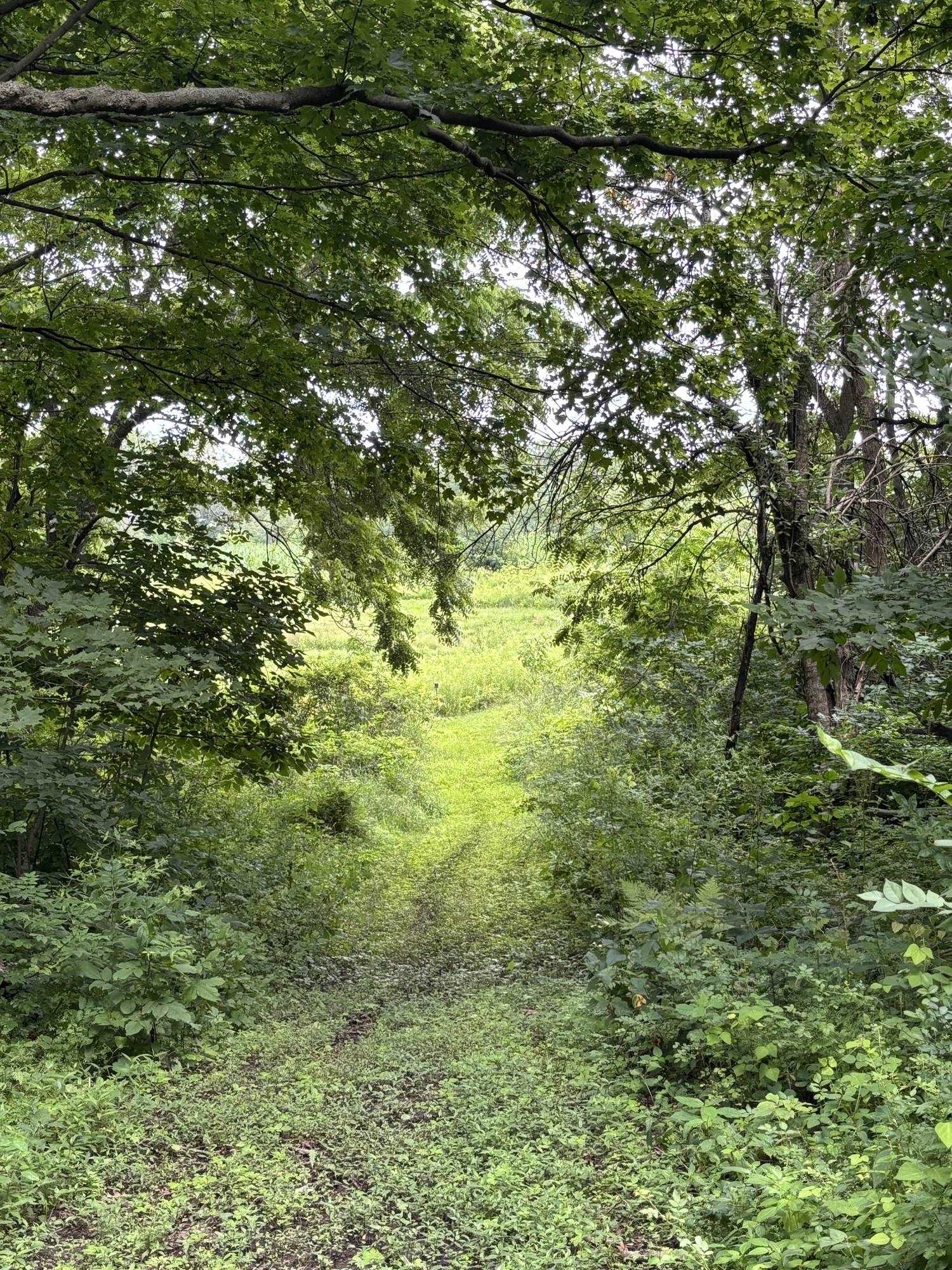 Gays Mills, Wisconsin, 54631, United States, ,Residential,For Sale,1928729