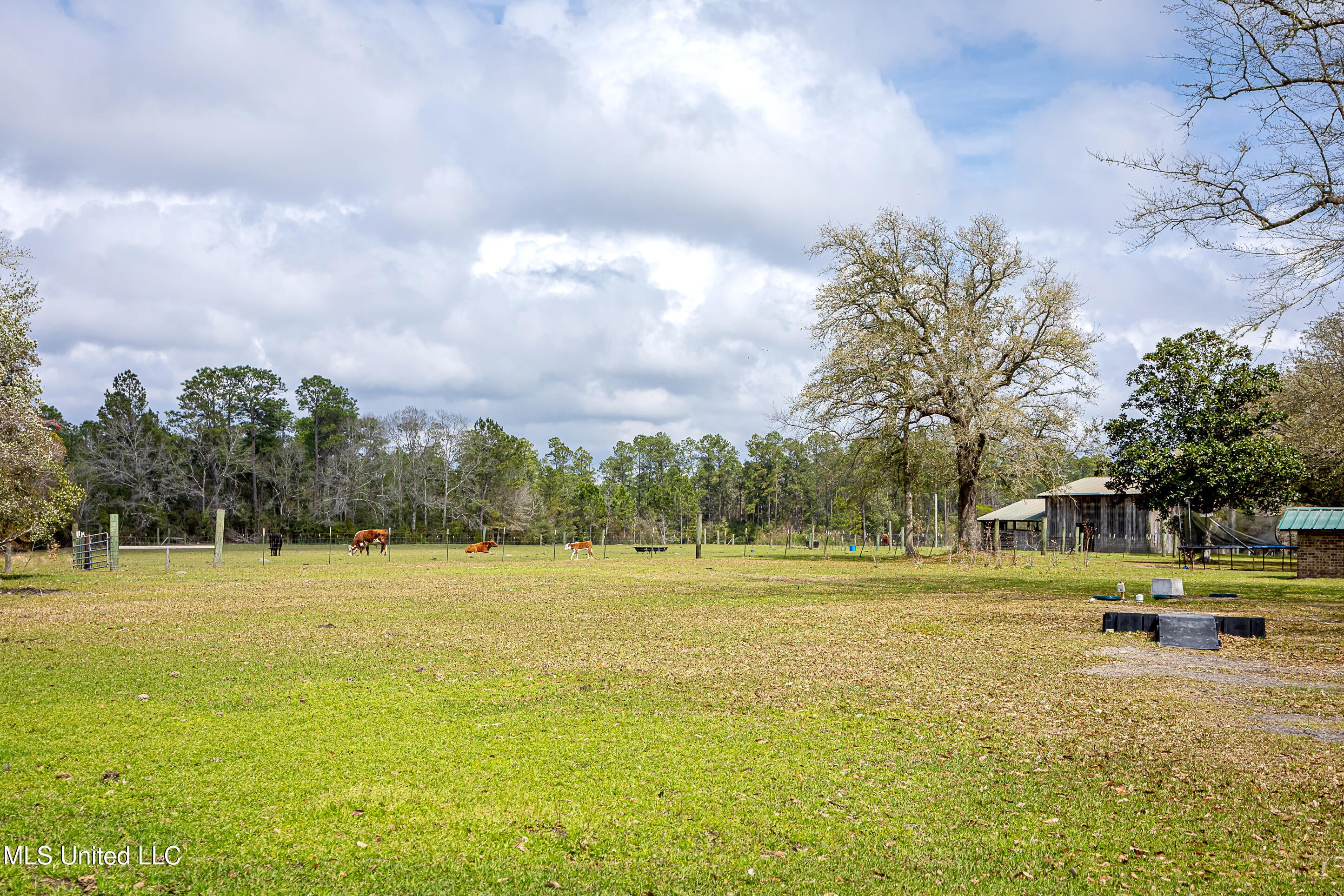 Vancleave, Mississippi, 39565, United States, 4 Bedrooms Bedrooms, ,2 BathroomsBathrooms,Residential,For Sale,1927401