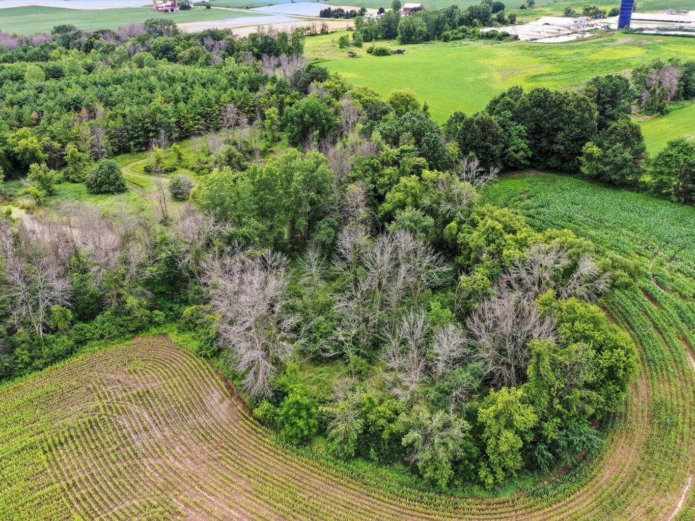 Franklin, Wisconsin, 54247, United States, ,Residential,For Sale,1895286