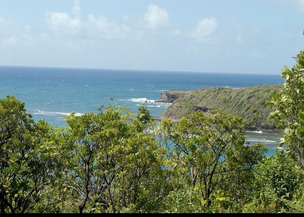 Petit Trout, St David, GD, ,Residential,For Sale,Petit Trout,1612056