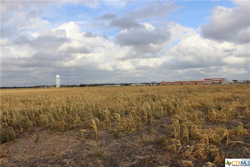 Tbd Friedens Church & Link Rd Road, Seguin, Texas, 78155, United States, ,Residential,For Sale,Tbd Friedens Church & Link Rd Road,1185694