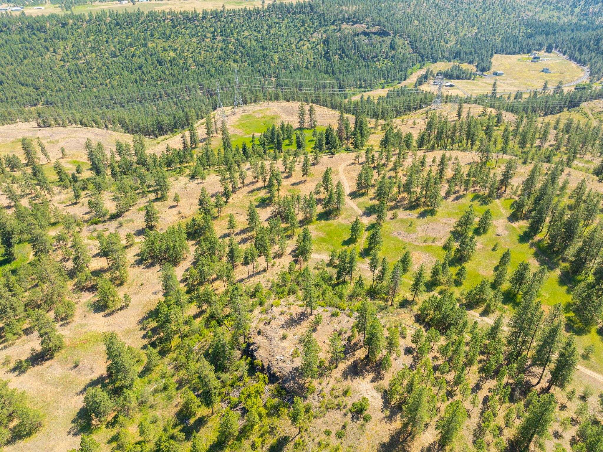 Nine Mile Falls, Washington, 99026, United States, ,Land,For Sale,1960887