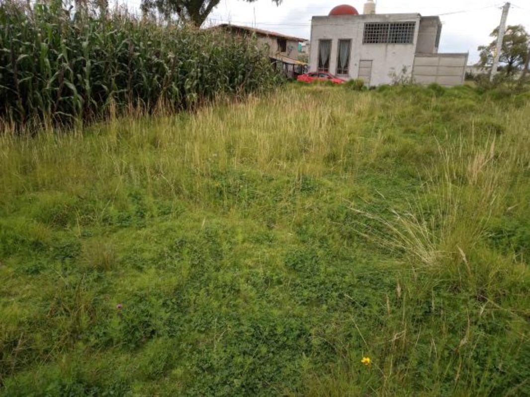 Ignacio Manuel Altamirano, Zinacantepec, Estado de México, 51350, Mexico, 1 Bedroom Bedrooms, ,Residential,For Sale,Ignacio Manuel Altamirano,1443176