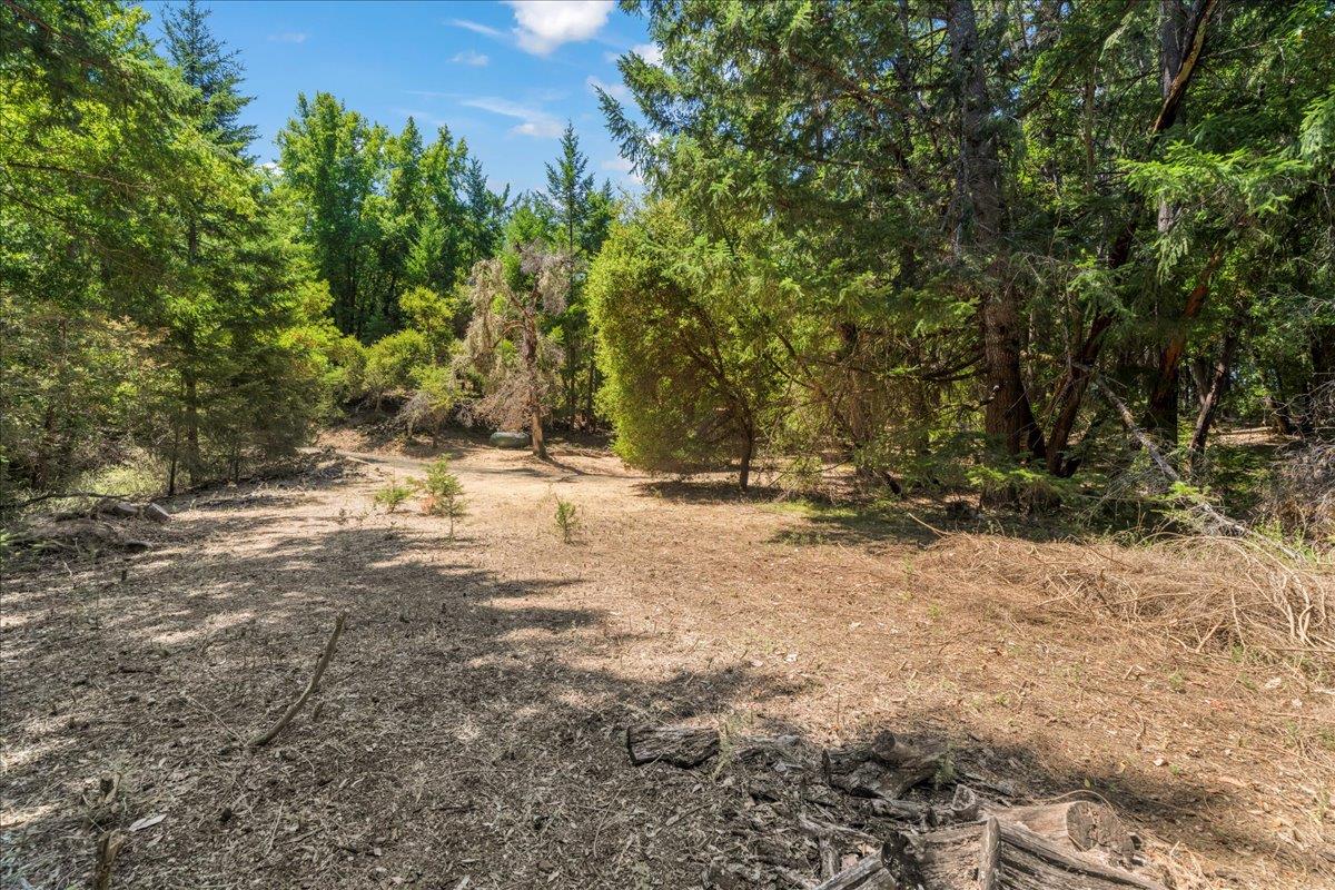 Los Gatos, California, 95033, United States, 3 Bedrooms Bedrooms, ,2 BathroomsBathrooms,Residential,For Sale,1905866