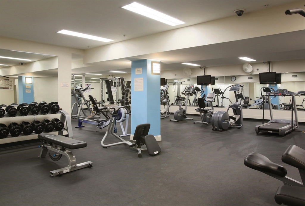 Brookline, Massachusetts, 02446, United States, 3 Bedrooms Bedrooms, ,3 BathroomsBathrooms,Residential,For Sale,1991911