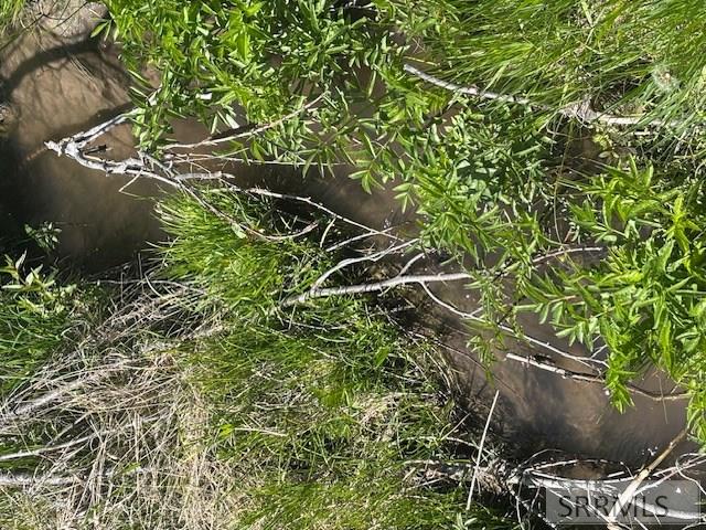 RIRIE, Idaho, 83443, United States, ,Residential,For Sale,1974893