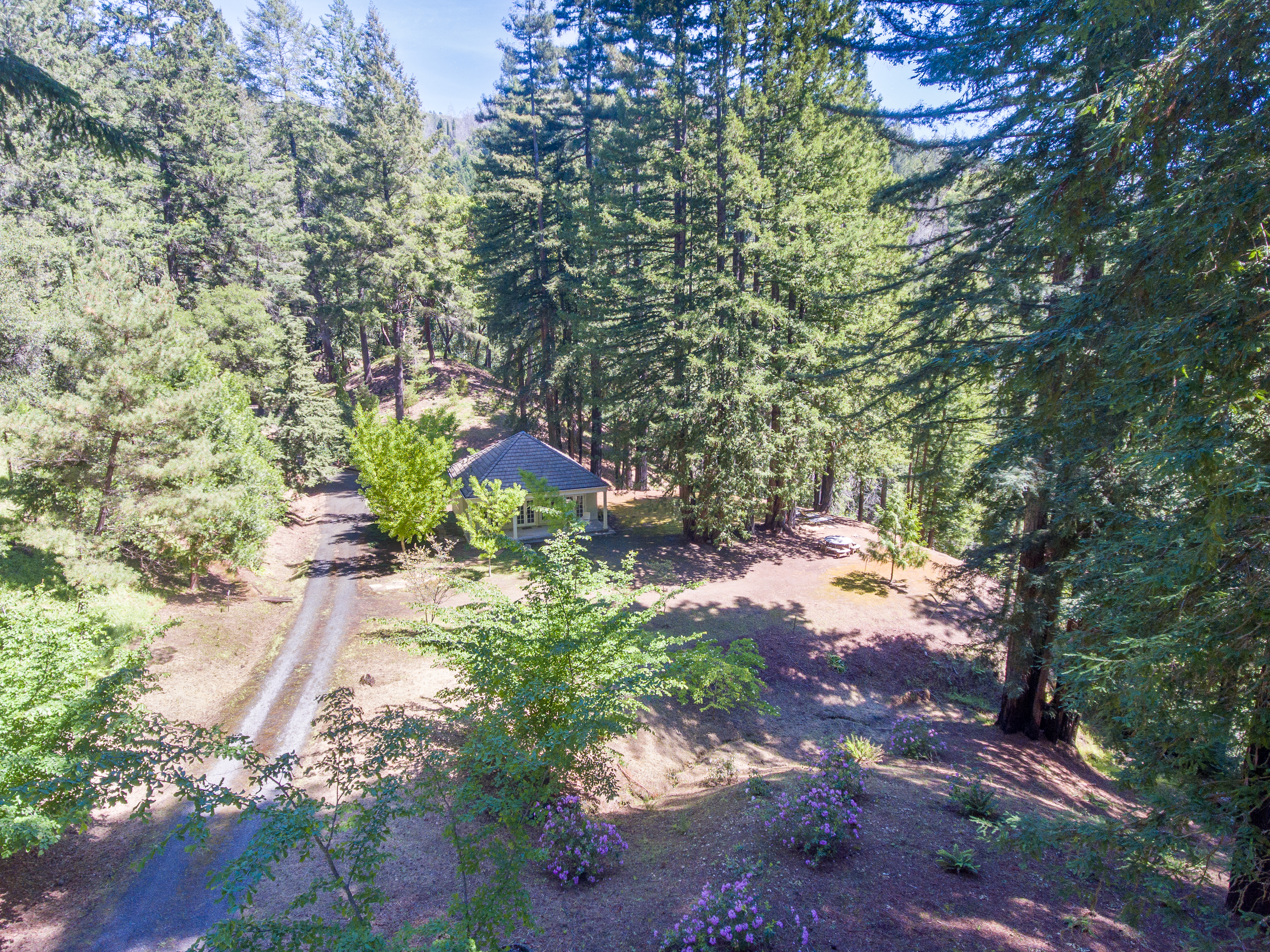  18900 Armstrong Woods Road, Guerneville, CA 95446 - 物件實景