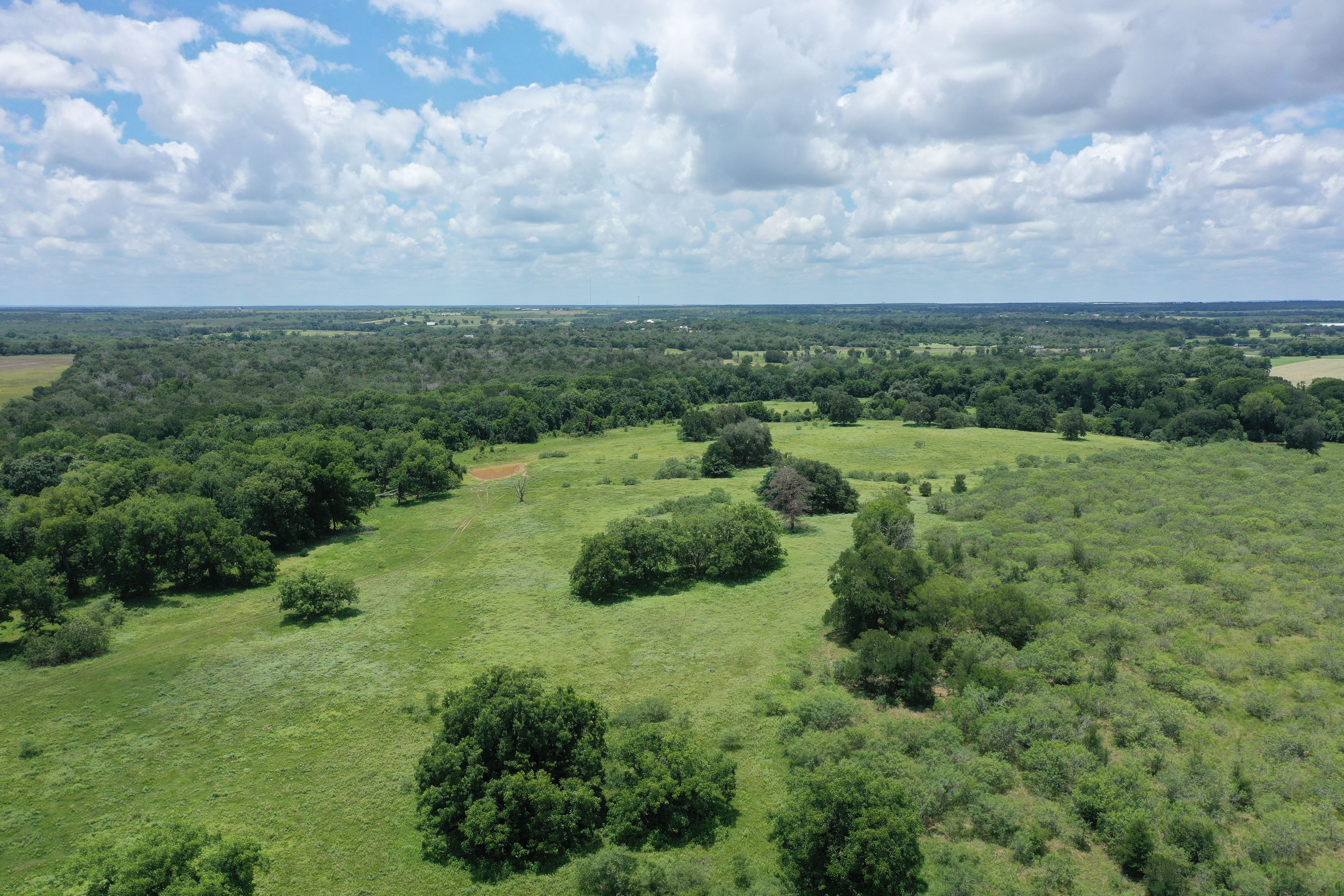  Buck Branch Ranch - 物件實景