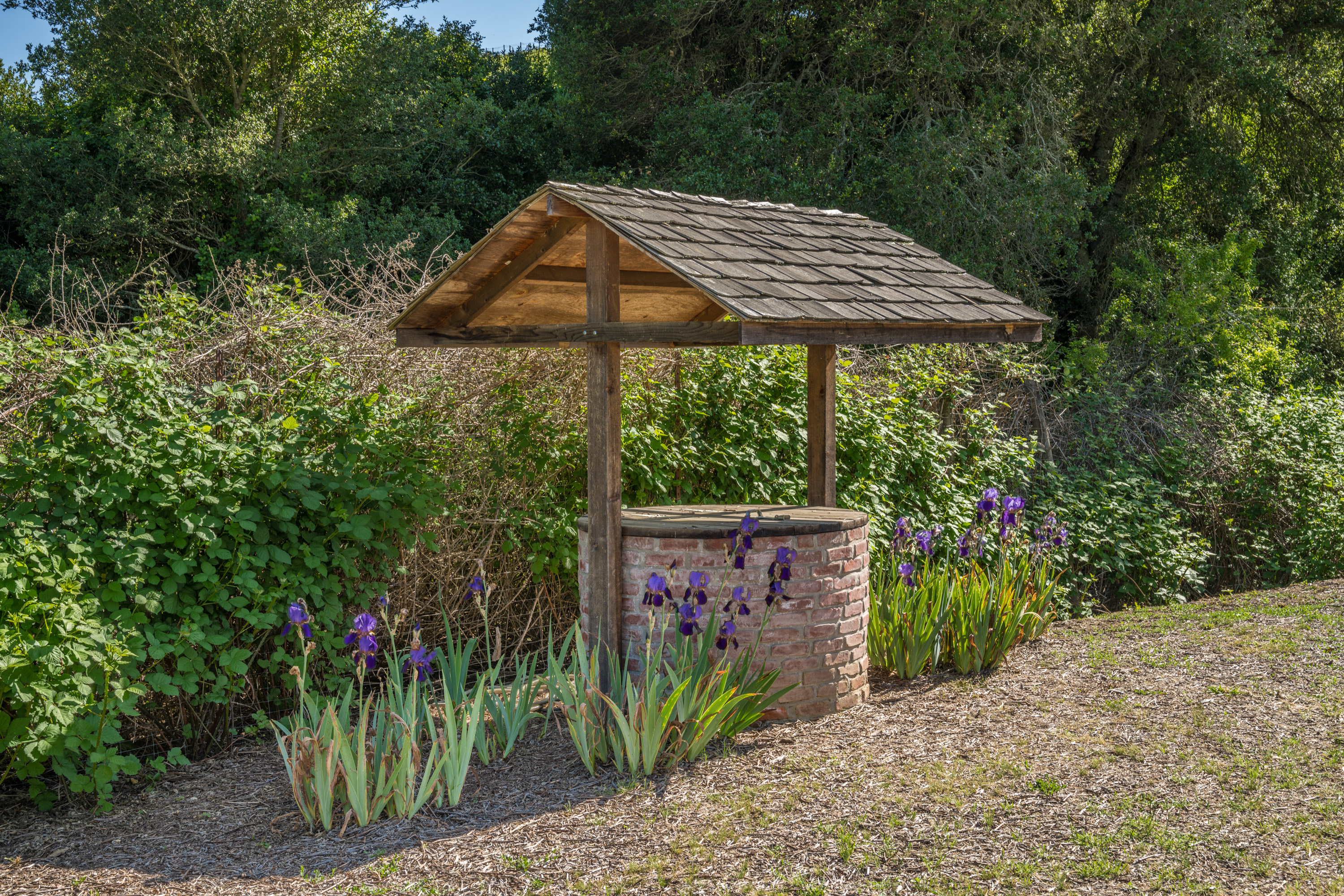  56-Acre Napa Valley Retreat - 物件實景