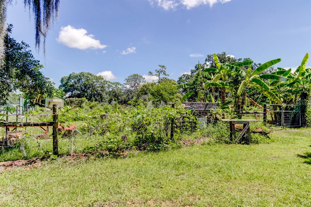 Temple Terrace, Florida, 33617, United States, 4 Bedrooms Bedrooms, ,3 BathroomsBathrooms,Residential,For Sale,1901085