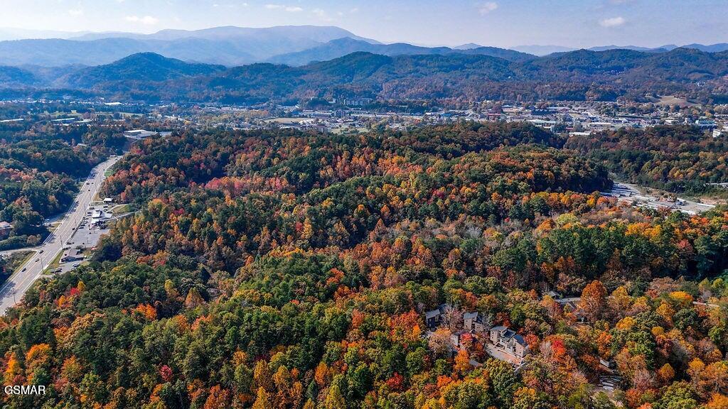 Pigeon Forge, Tennessee, 37863, United States, 2 Bedrooms Bedrooms, ,2 BathroomsBathrooms,Residential,For Sale,1872130