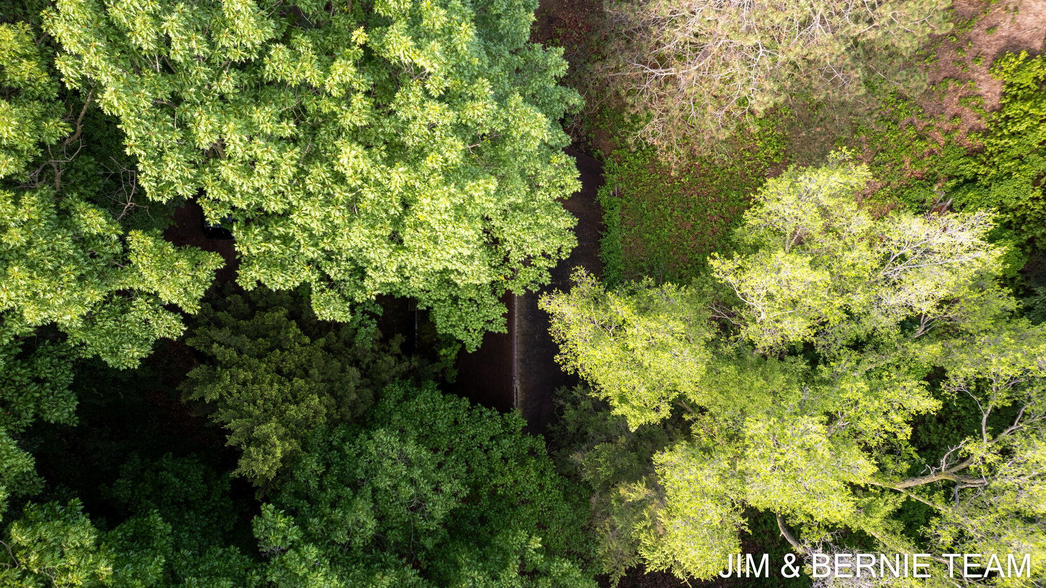 4036 Hillside Trail, Holland, Michigan, 49423, United States, ,Land,For Sale,4036 Hillside Trail,1425846