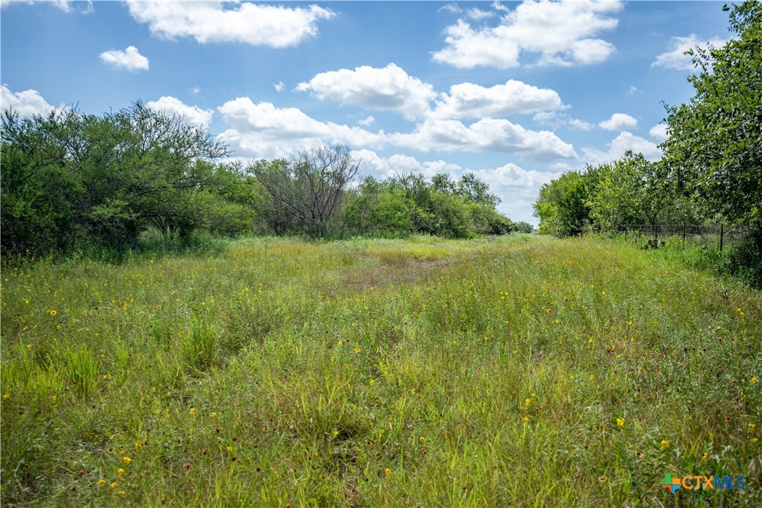 Kenedy, Texas, 78119, United States, ,Residential,For Sale,1967827
