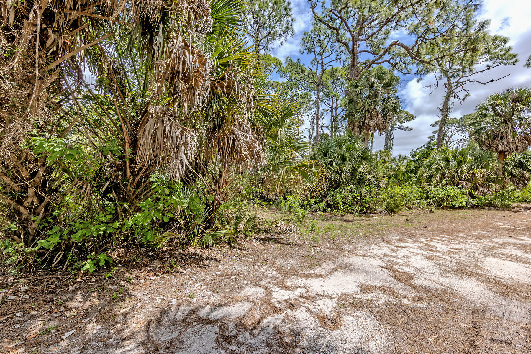  VENICE FARMS - 物件實景