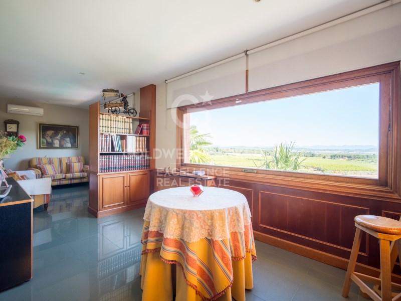 Chiva, Comunidad Valenciana, ES, 6 Bedrooms Bedrooms, ,7 BathroomsBathrooms,Residential,For Sale,1817854