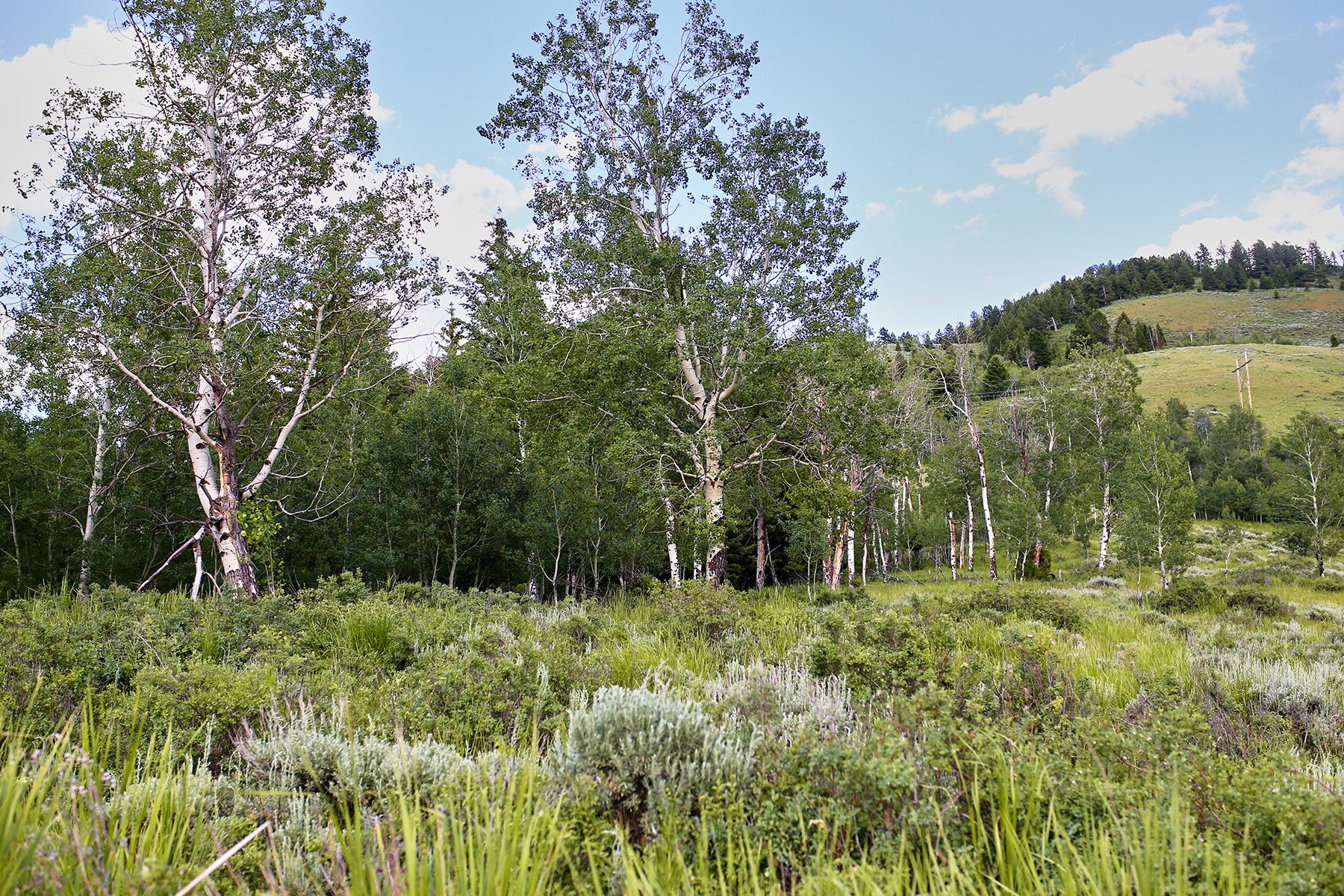  Snake River Sporting Club Lot - 物件實景