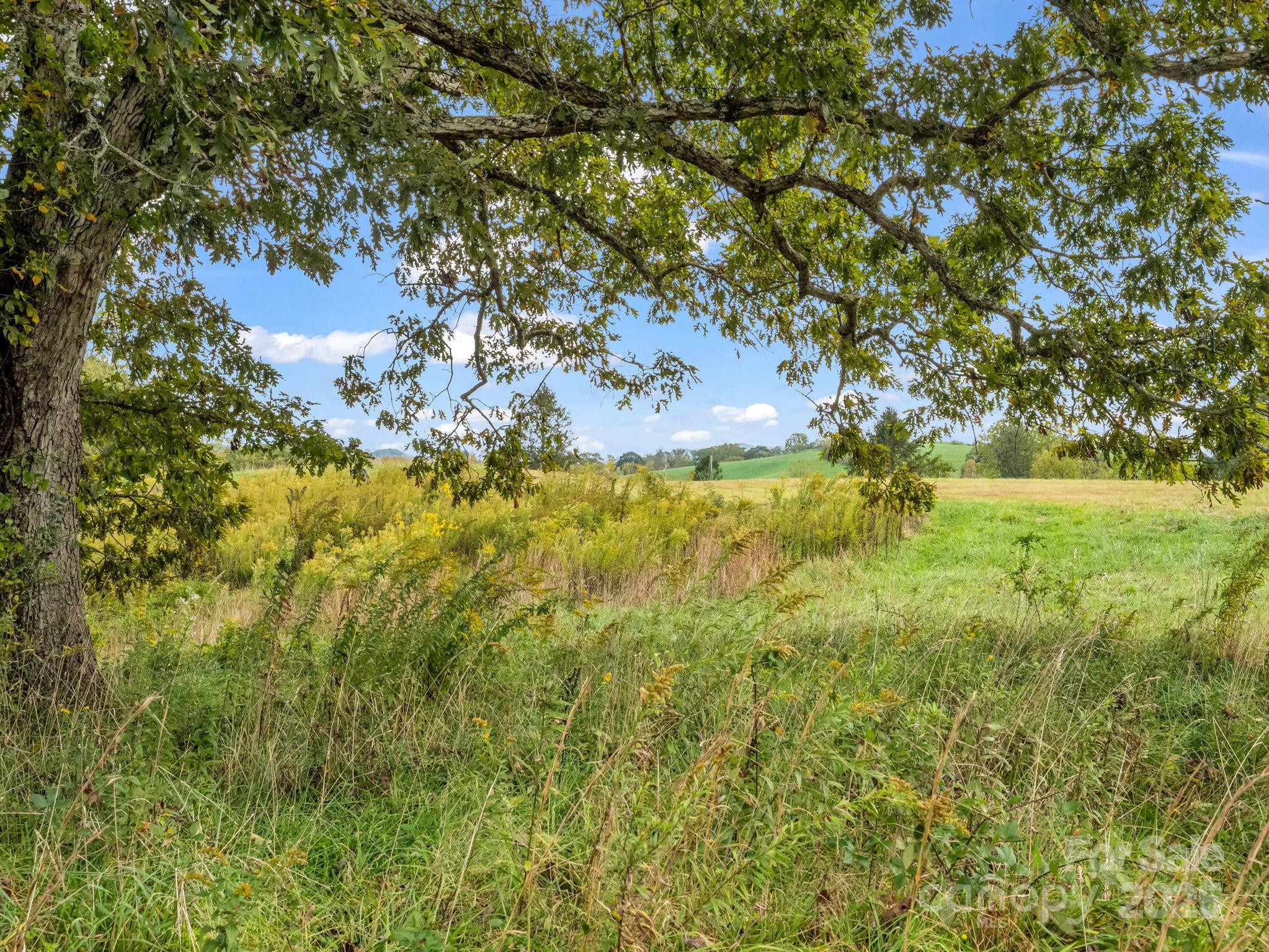Mills River, North Carolina, 28759, United States, ,Land,For Sale,1975215