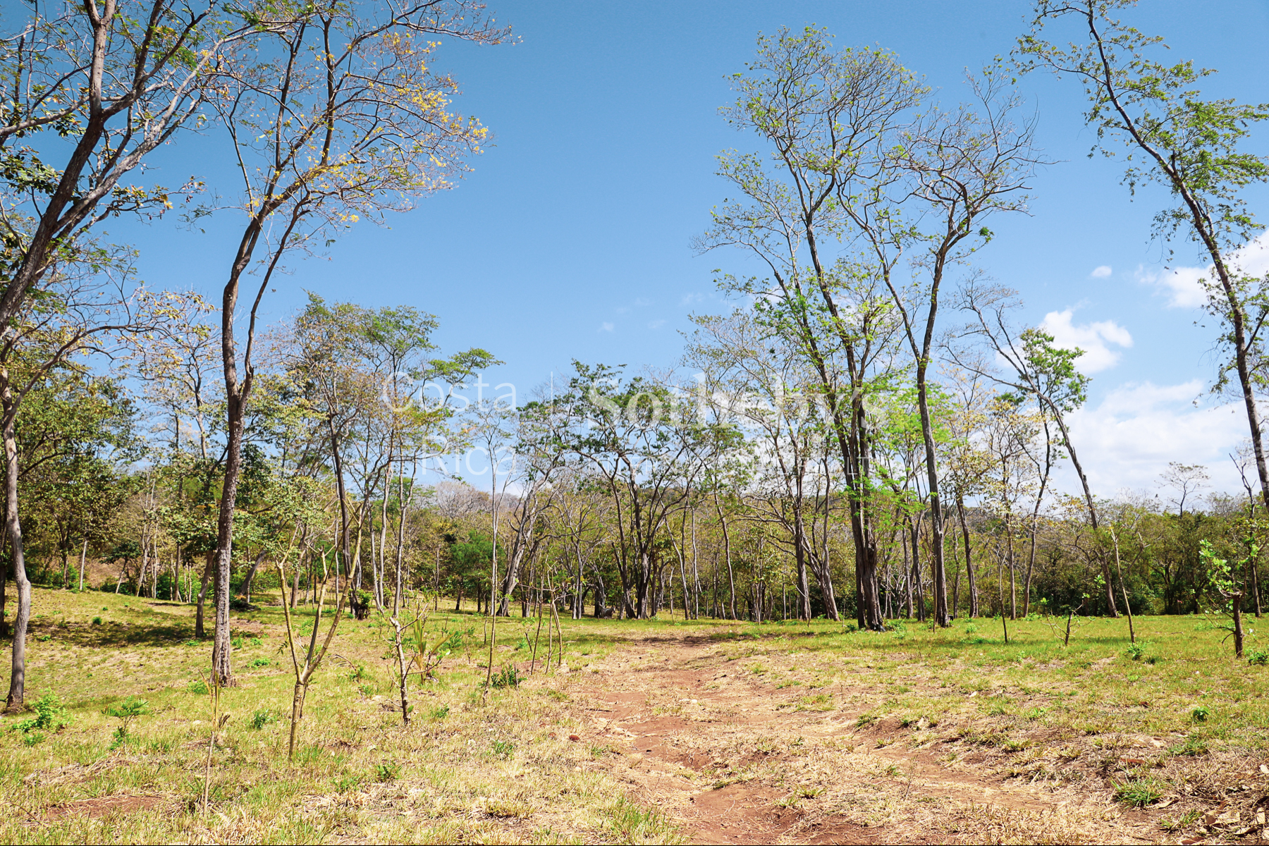  Ocean View Tamarindo Villa - 物件實景
