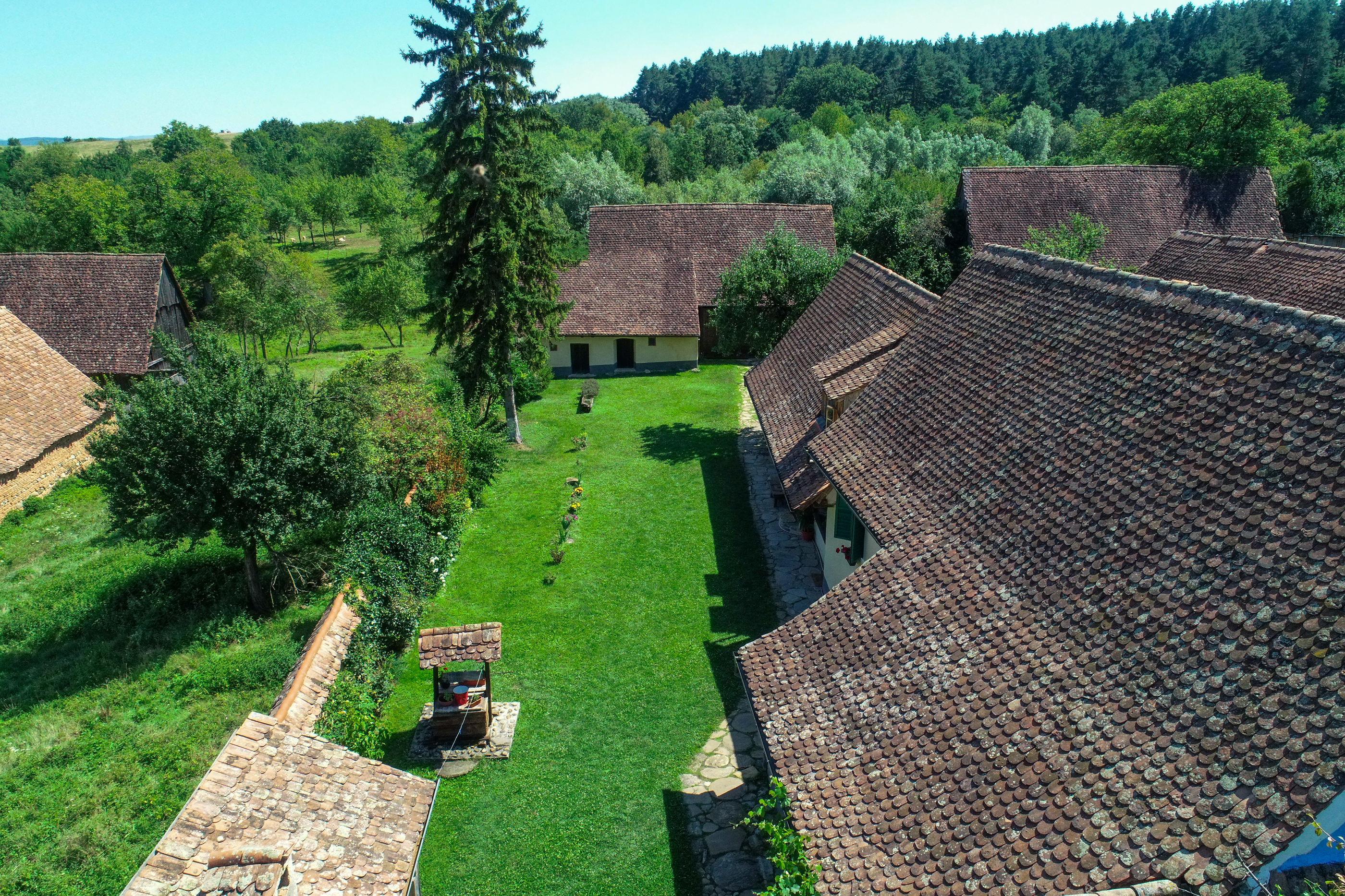 Restored Authentic Saxon House in Viscri, Between Heritage and Nature - 物件實景