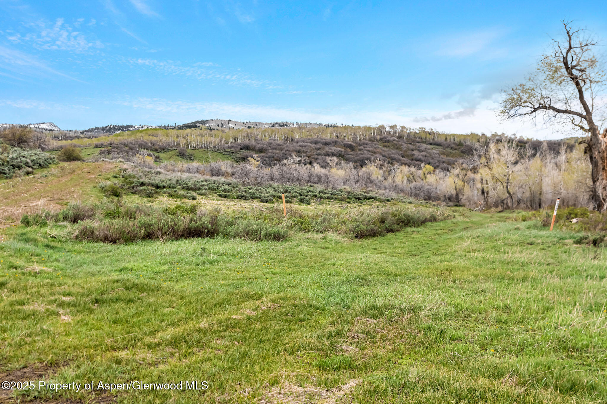 Hayden, Colorado, 81639, United States, ,Residential,For Sale,1901288