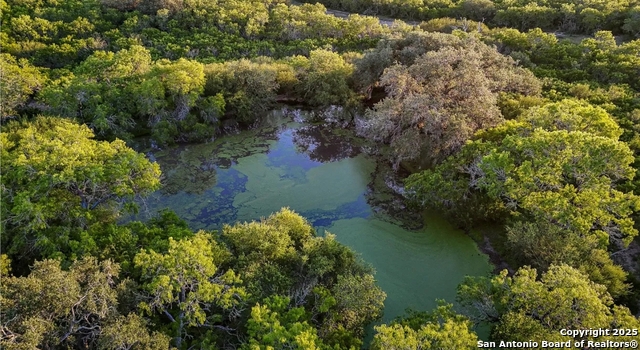 Beeville, Texas, 78102, United States, ,Land,For Sale,1988110