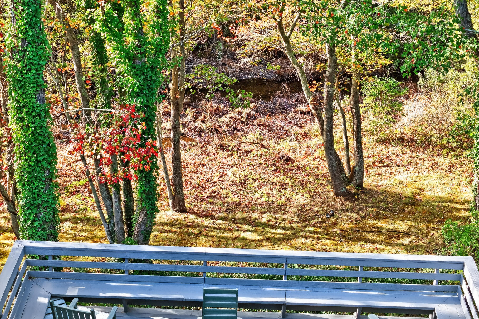  17,17A,17B Cranberry Lane UNIT 17 - 物件實景