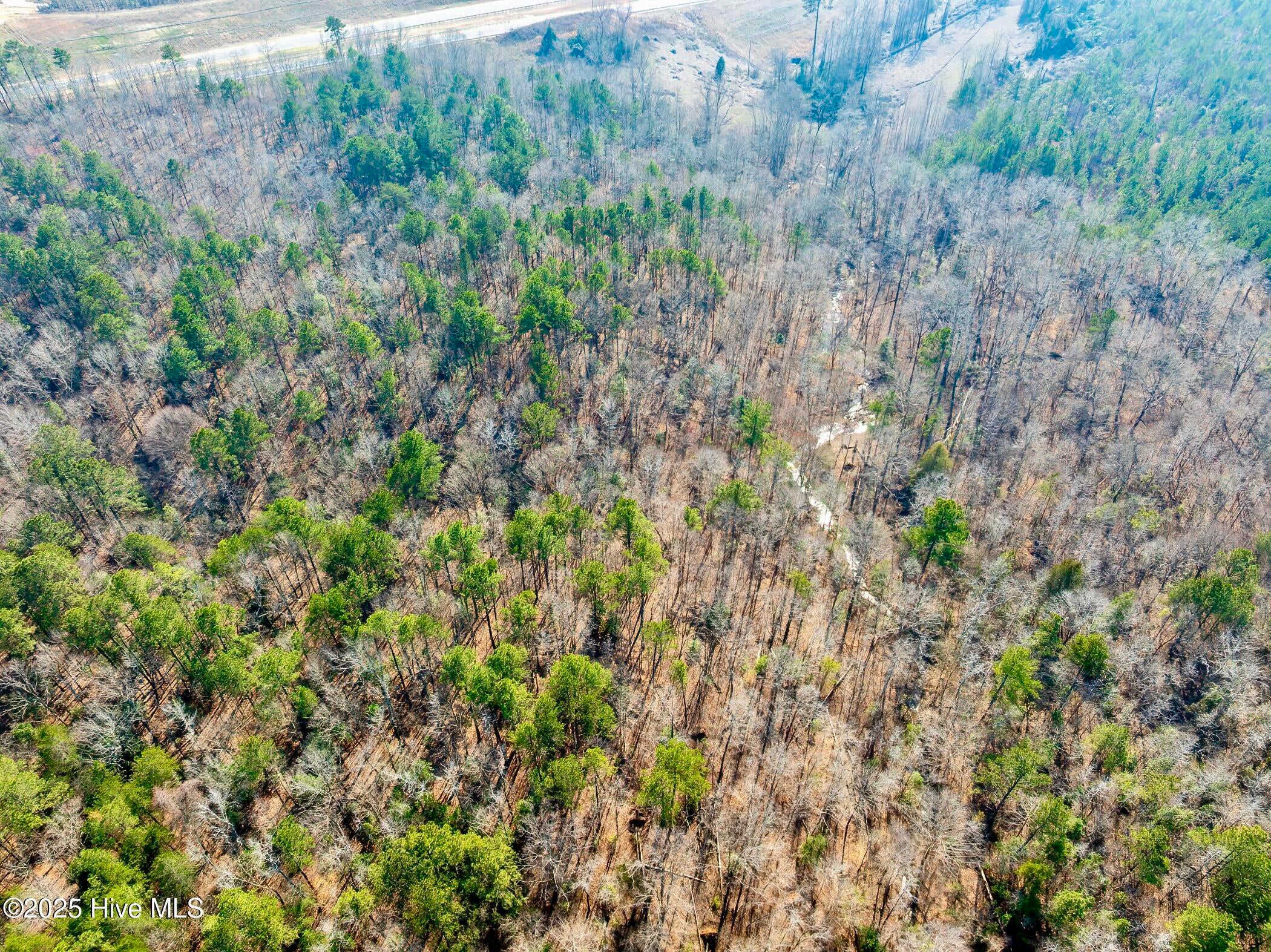 Rockingham, North Carolina, 28379, United States, ,Land,For Sale,1739178