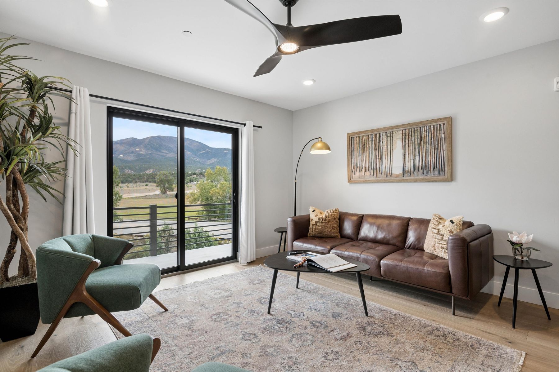  ALTO - A Modern Salida Retreat with Room for Adventure and the Potential to Earn - 物件實景